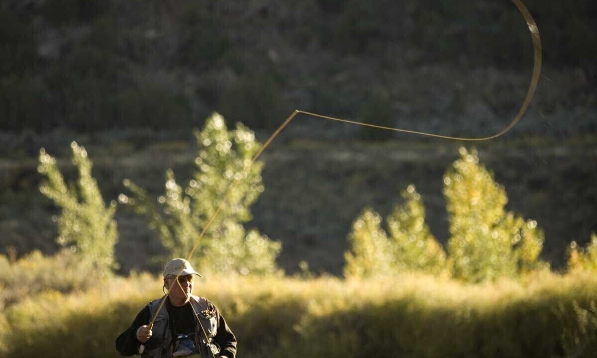 Photo of Others in Gintrac