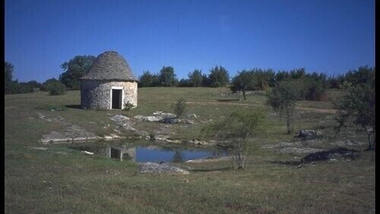 Photo of Others in Gintrac