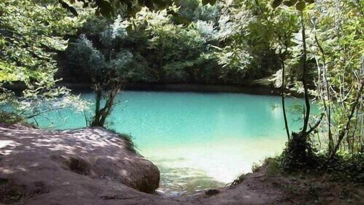 Photo of Others in Gintrac