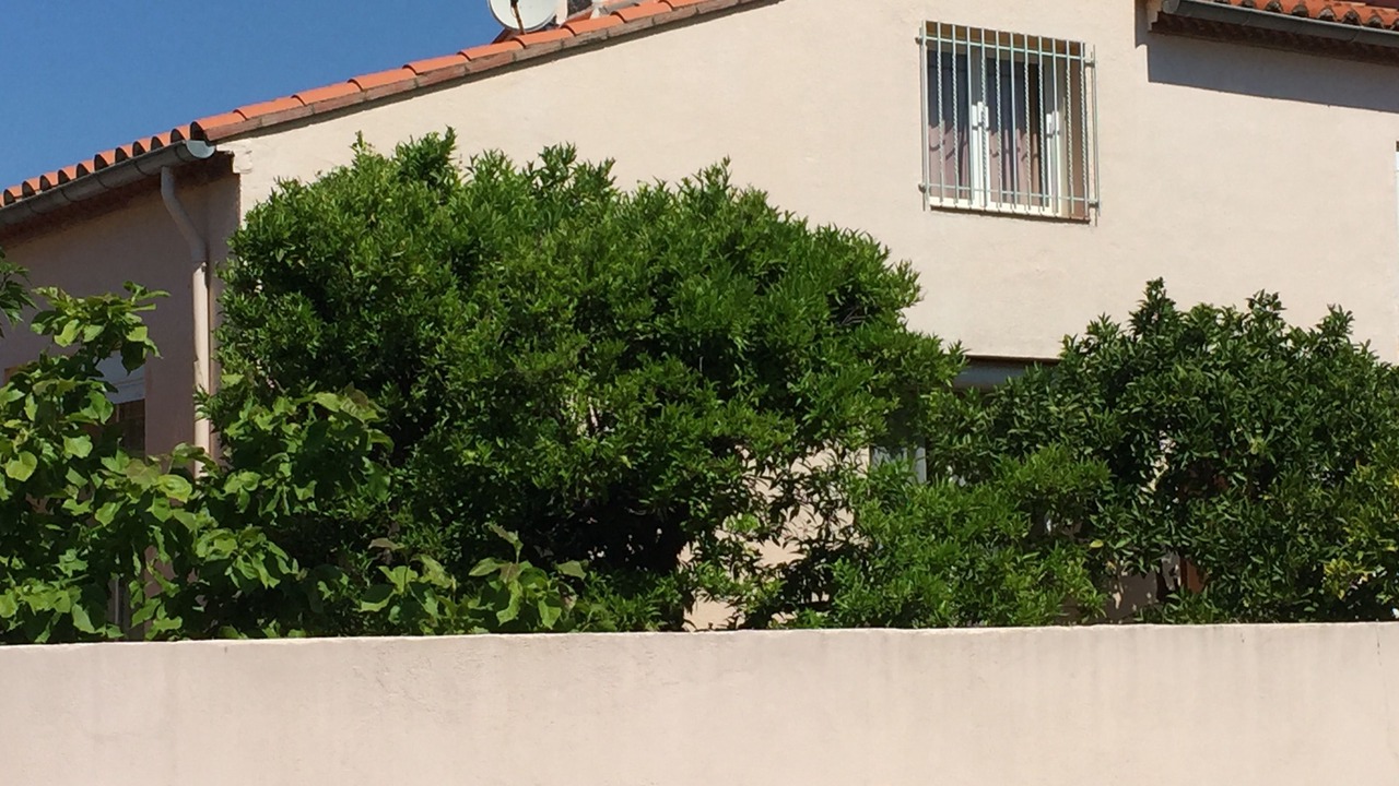 Photo of Outdoor in Rivesaltes