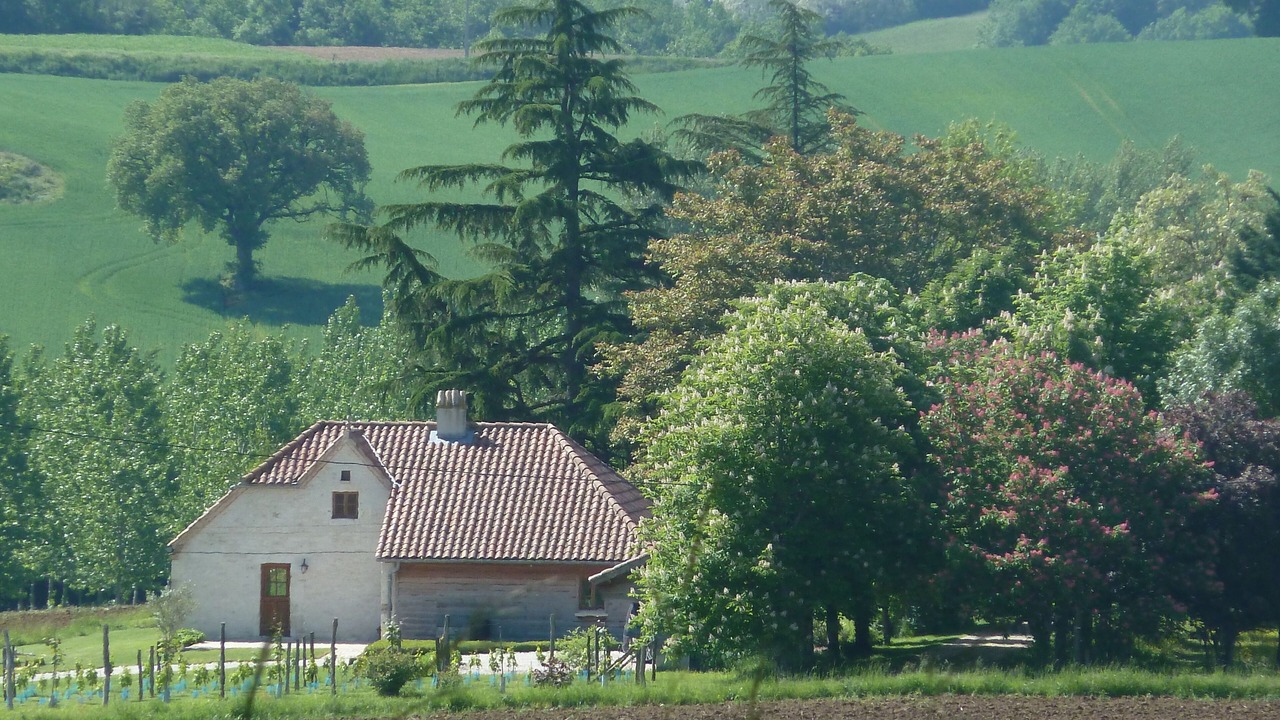 Photo of Outdoor in Lauzerte