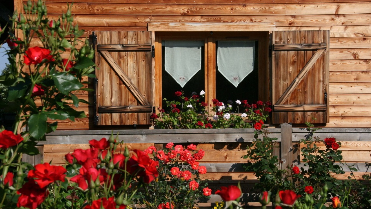 Photo of Outdoor in Ban-de-Laveline