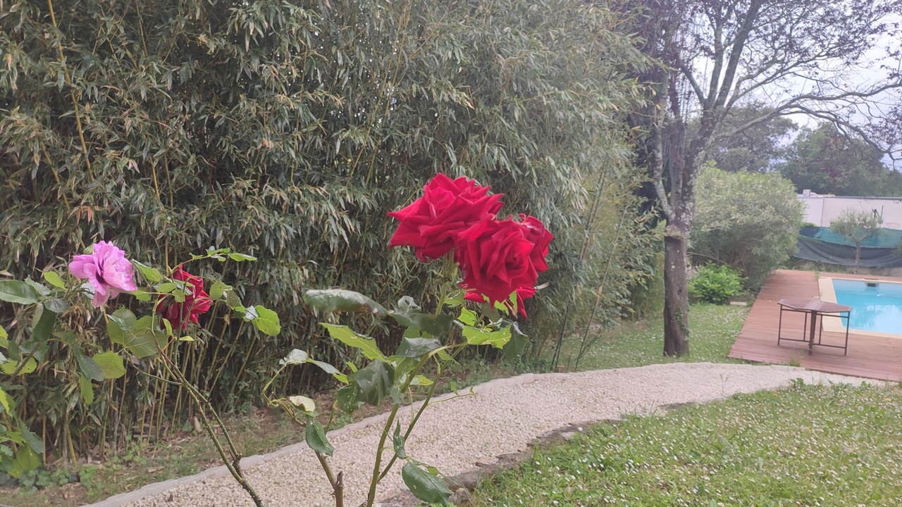 Photo of Outdoor in Parignargues