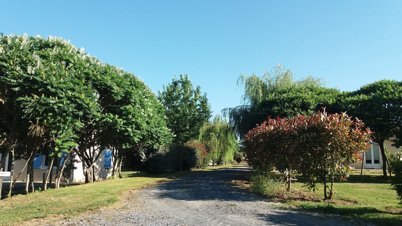 Photo of Outdoor in Montreal