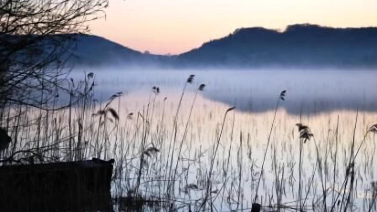 Photo of Others in Le Frasnois