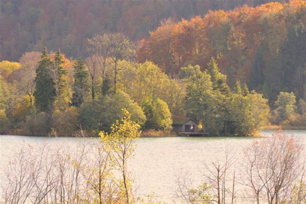 Photo of Outdoor in Le Frasnois