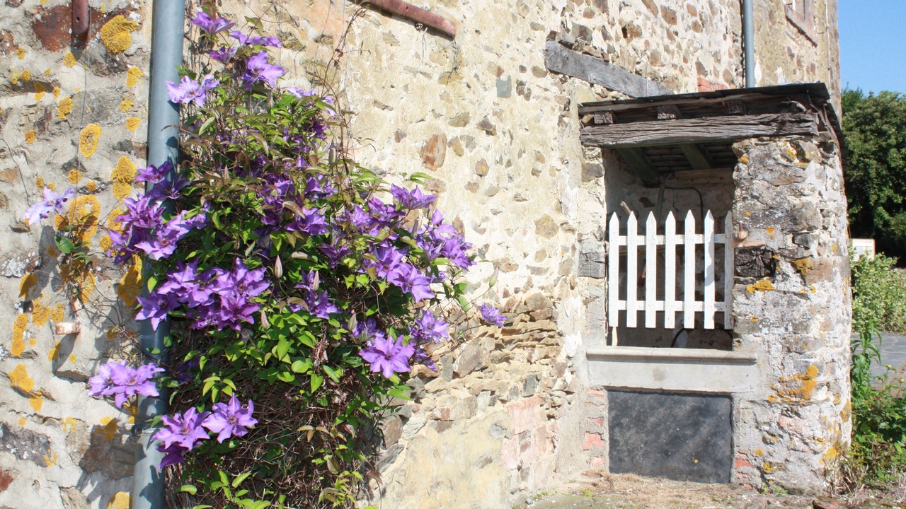 Photo of Outdoor in Longuefuye