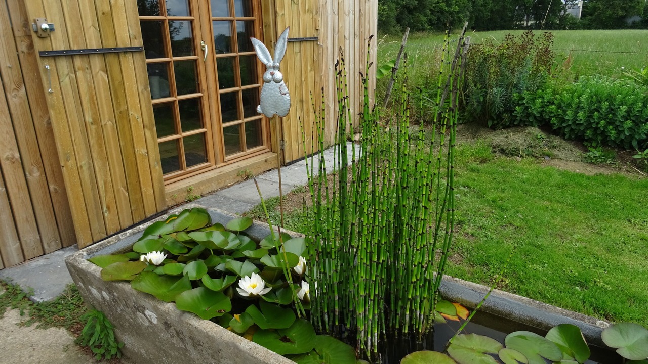 Photo of Outdoor in Nort-sur-Erdre
