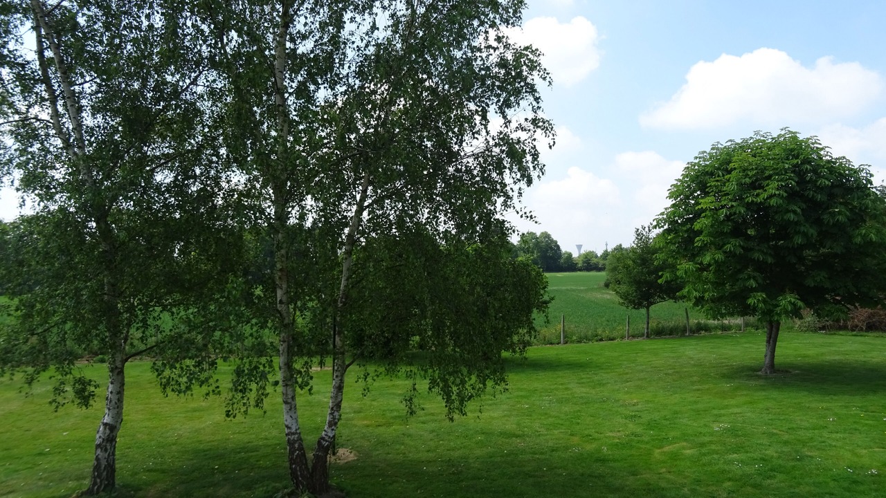 Photo of Others in Nort-sur-Erdre