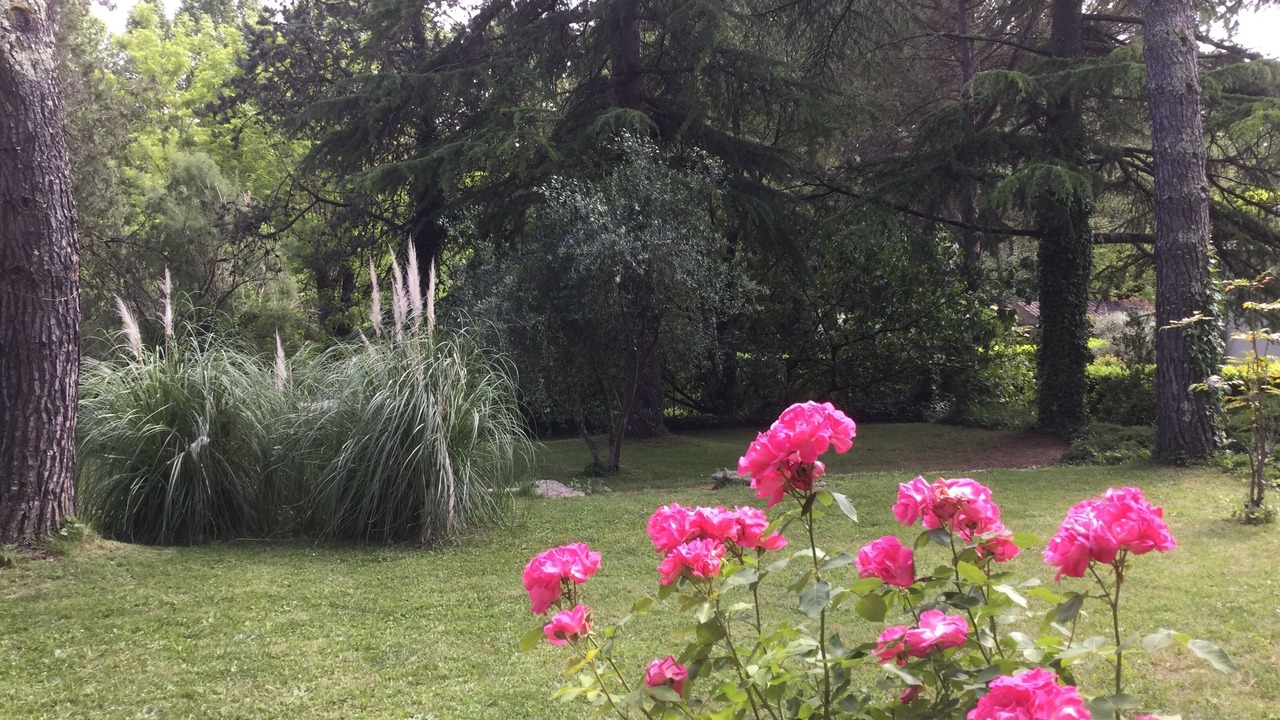 Photo of Outdoor in Vallon-Pont-d'Arc