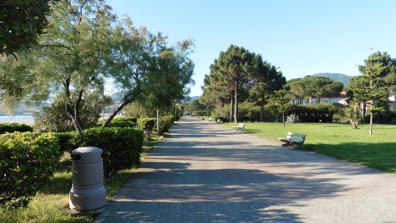Photo of Outdoor in Sorede