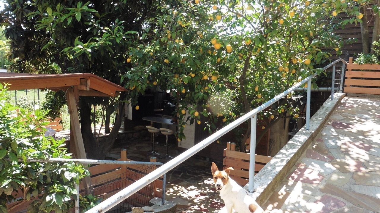 Photo of Outdoor in Sorede