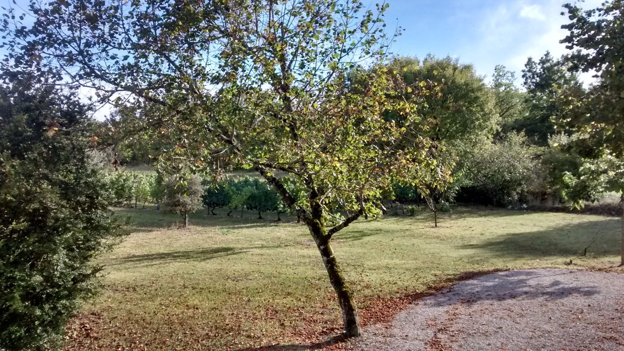 Photo of Outdoor in Lalbenque