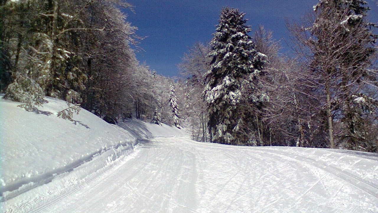 Photo of Others in Sireix