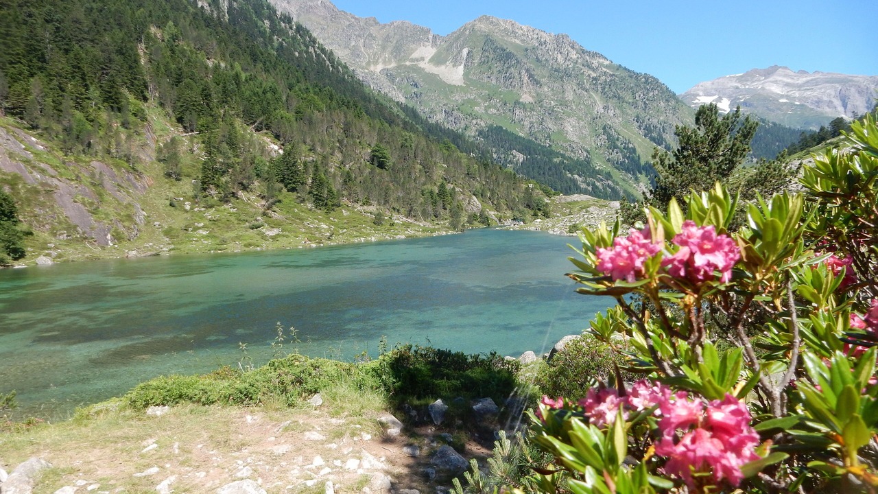 Photo of Outdoor in Sireix