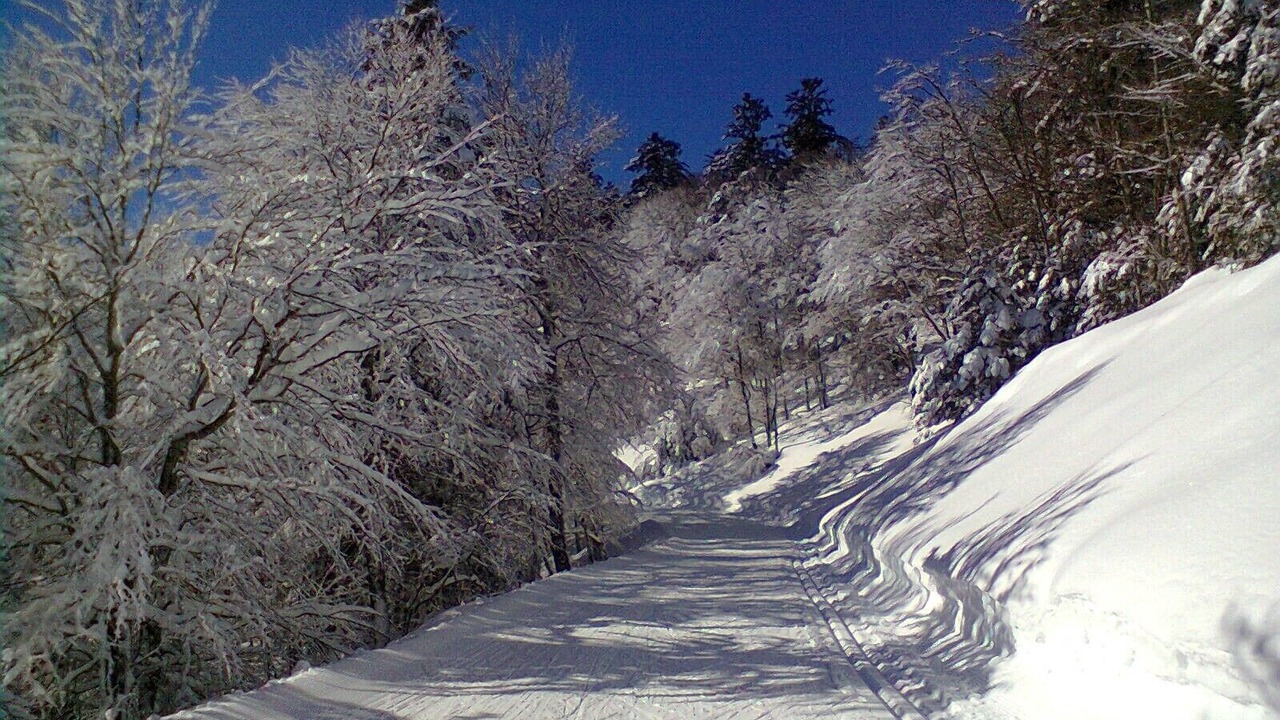 Photo of Others in Sireix