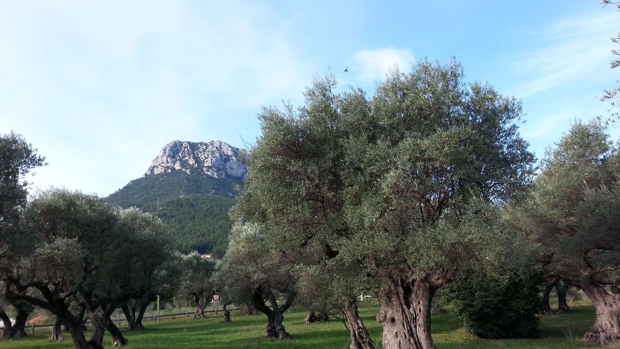 Photo of Outdoor in La Farlede