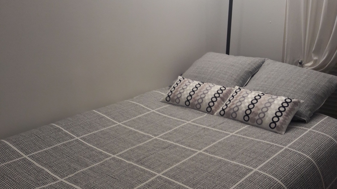 Photo of Bedroom in Antony