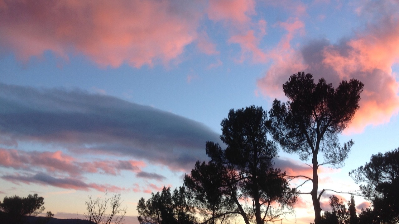 Photo of Outdoor in La Roquebrussanne