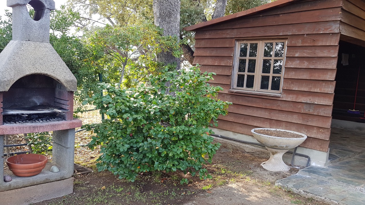 Photo of Patio Balcony in Bravone