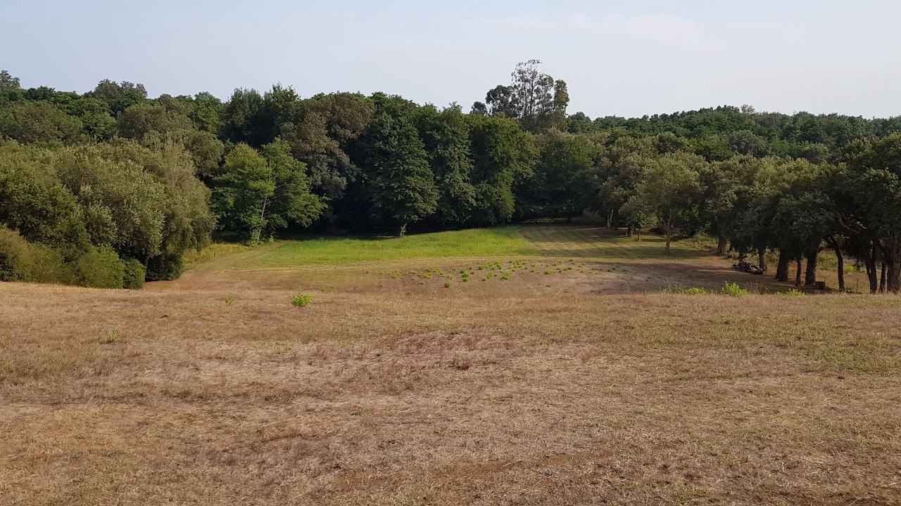 Photo of Outdoor in Bravone