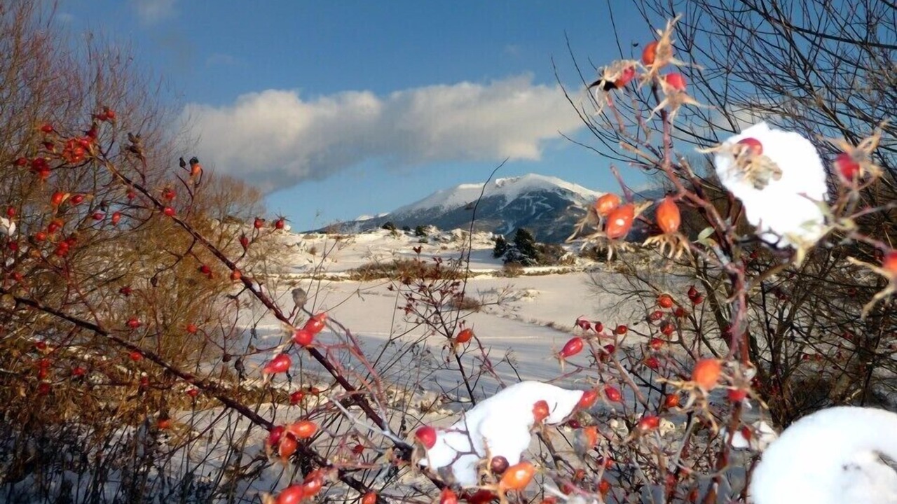 Photo of Outdoor in Font-Romeu-Odeillo-Via