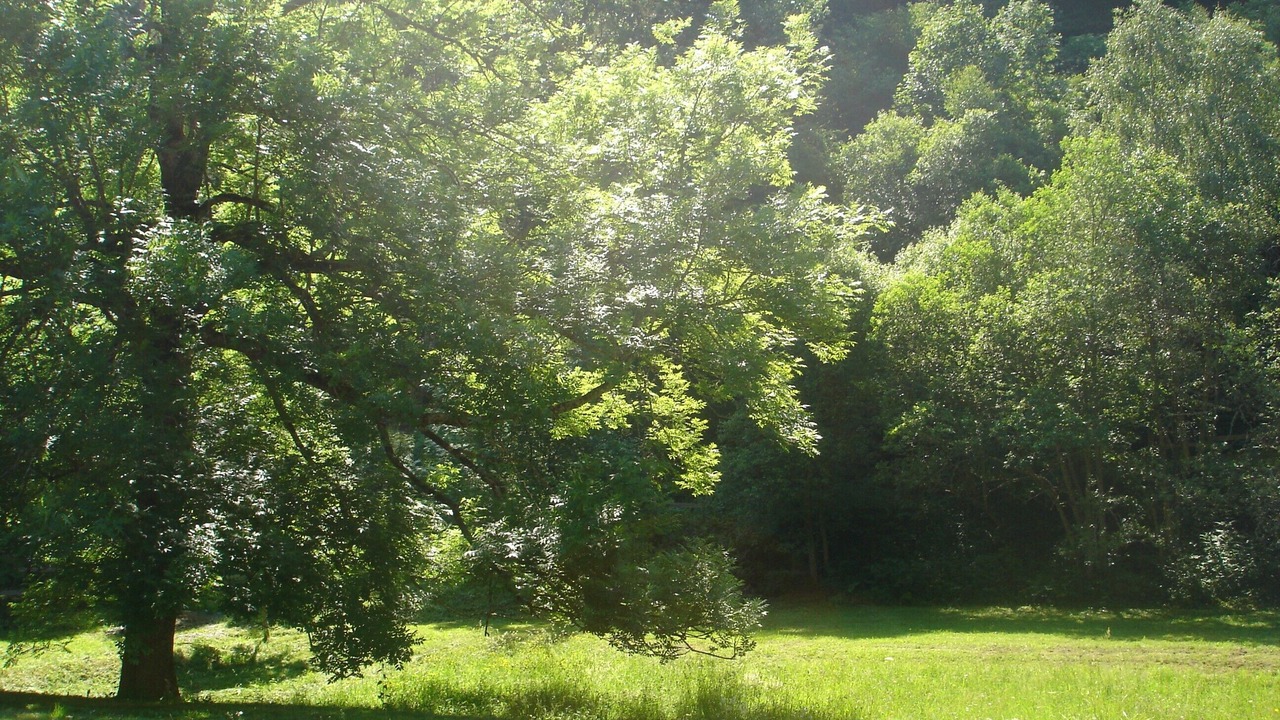 Photo of Outdoor in Aragnouet