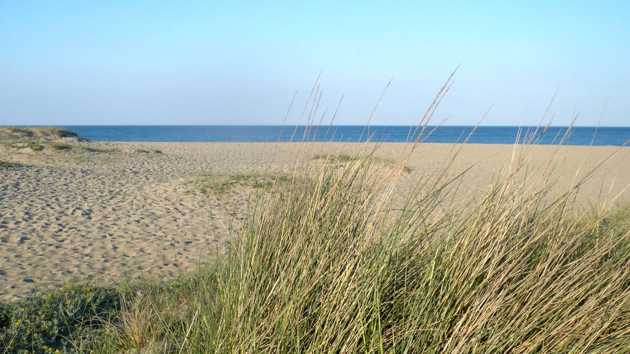 Photo of Others in Sainte-Marie-Plage