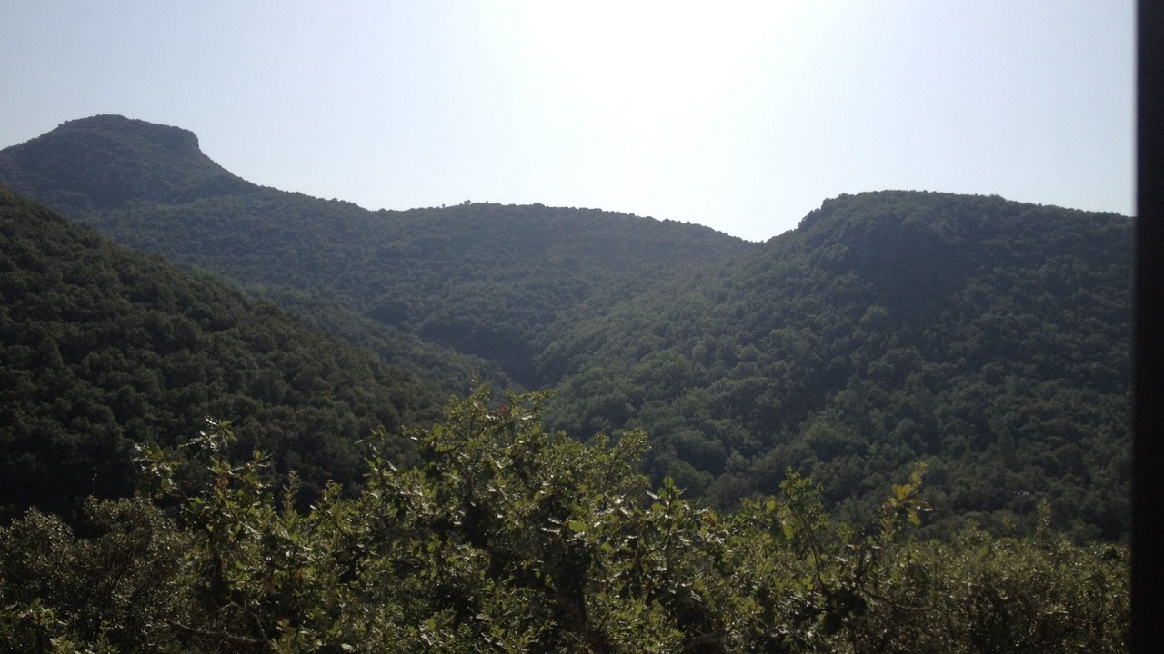 Photo of Others in Saint-Hippolyte-du-Fort
