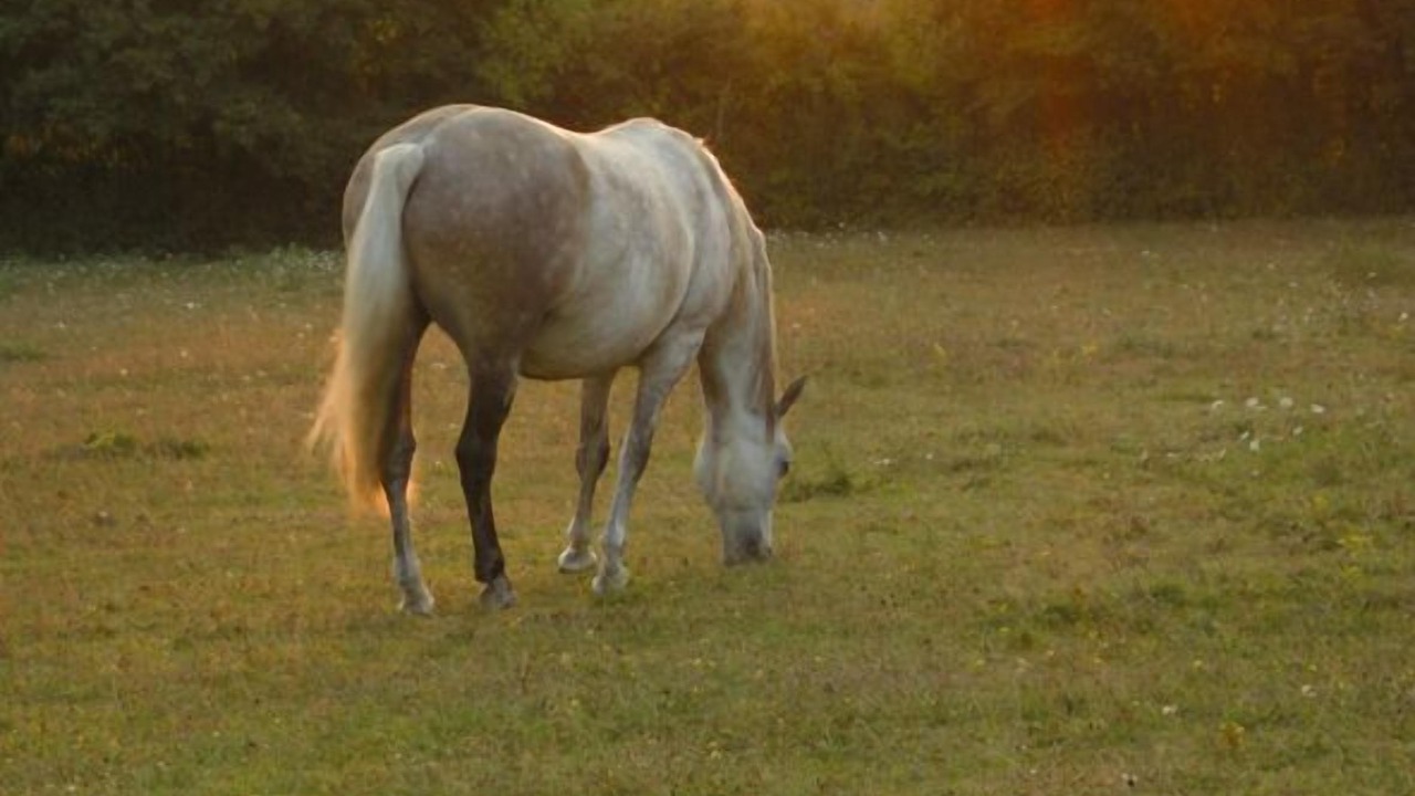 Photo of Outdoor in Donzy