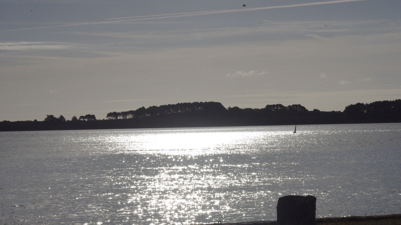 Photo of Others in Arradon