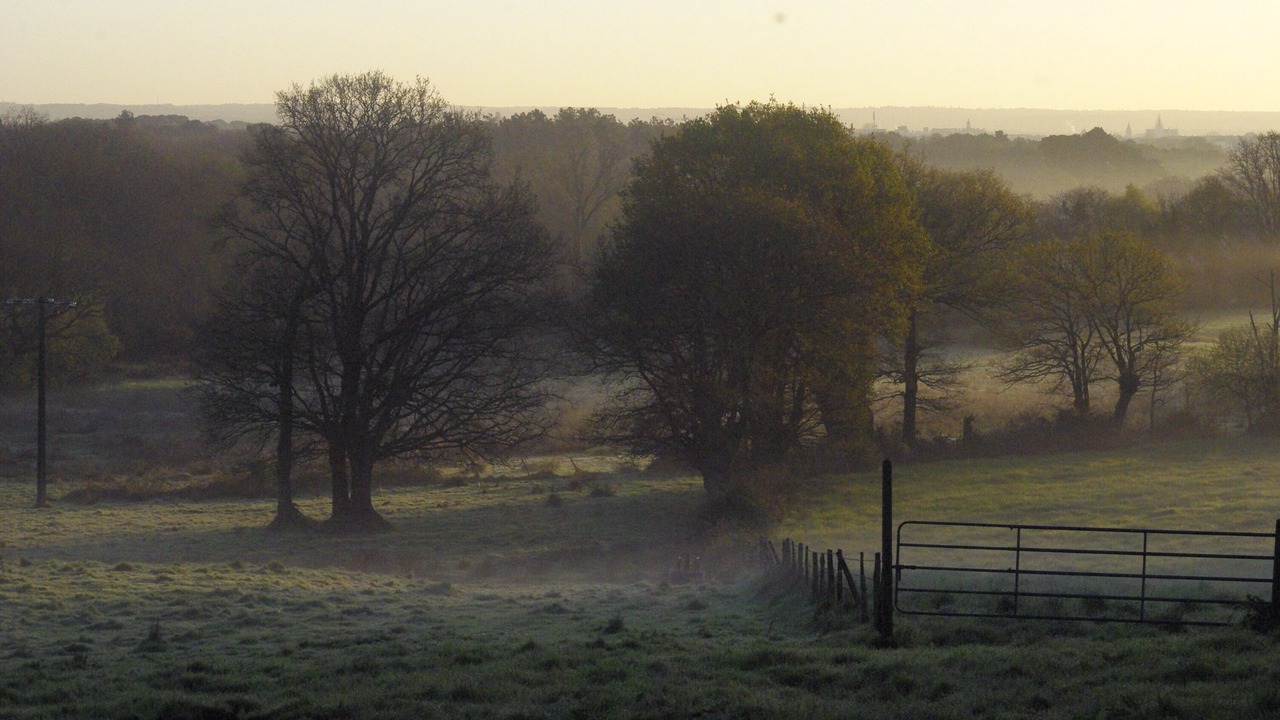 Photo of Outdoor in Arradon