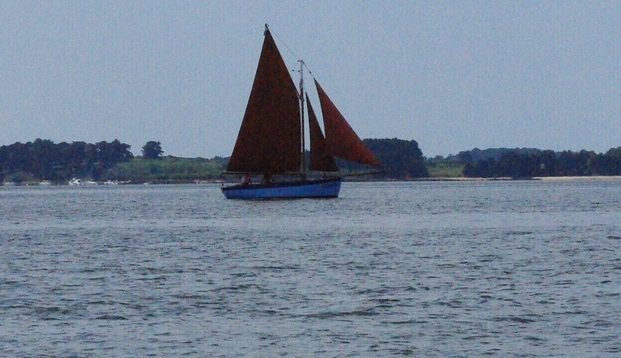 Photo of Others in Arradon