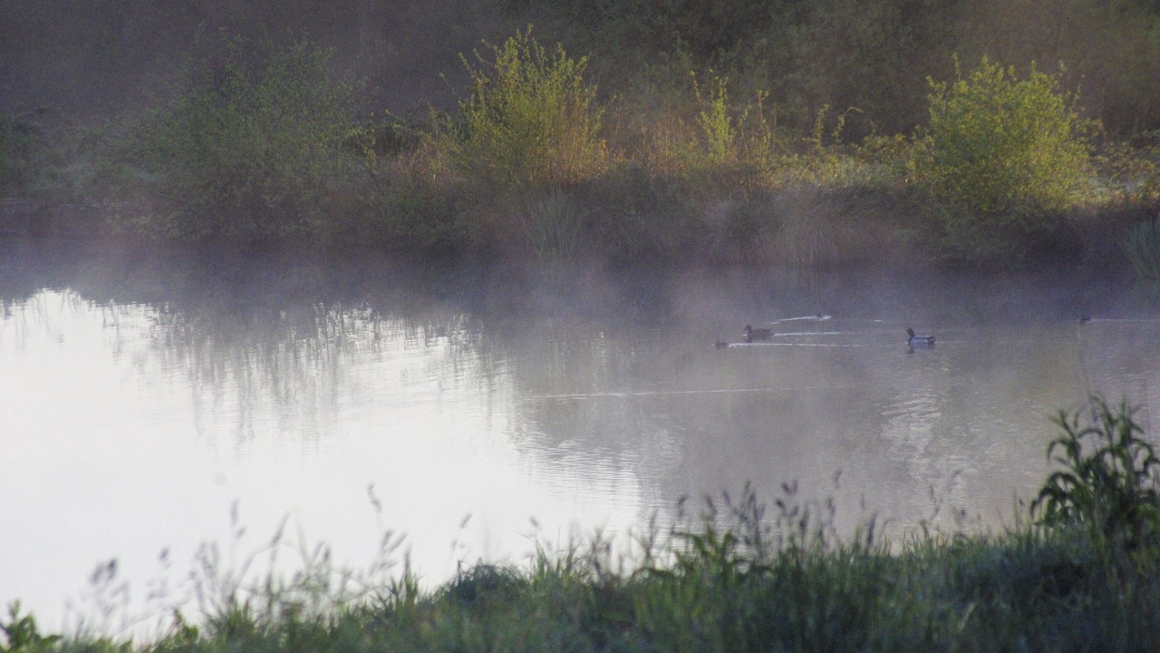 Photo of Others in Arradon