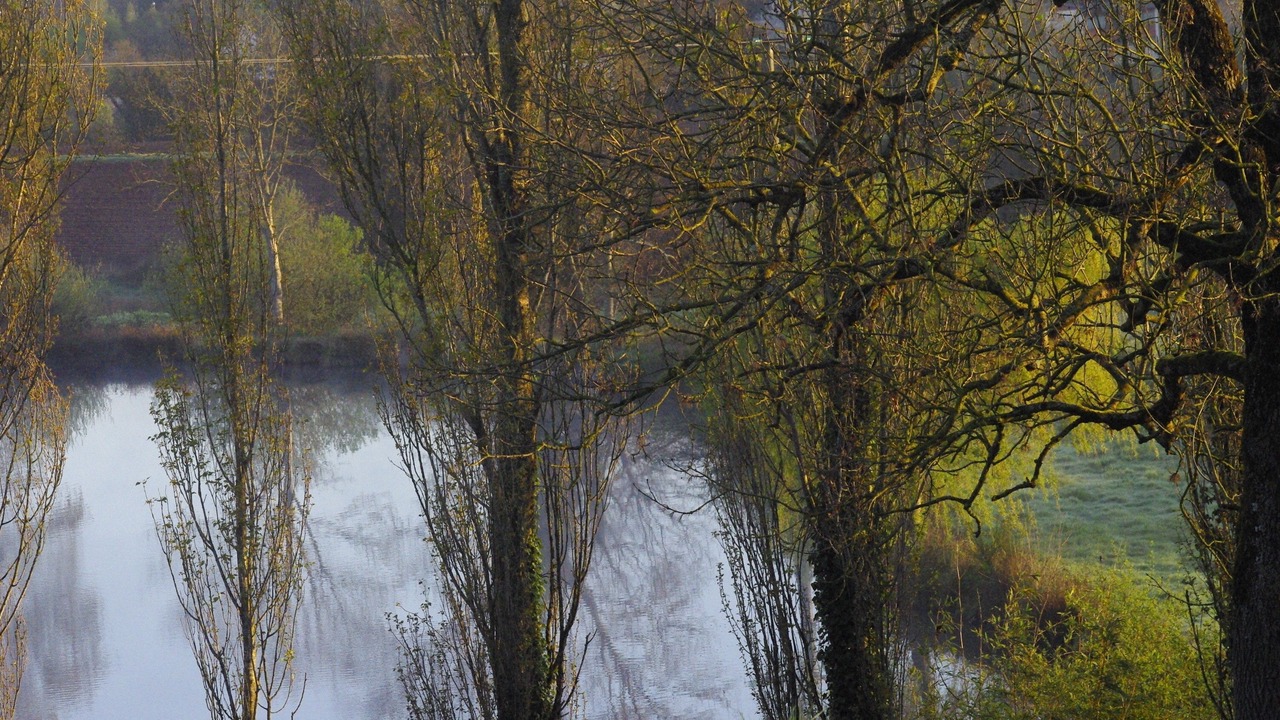 Photo of Others in Arradon