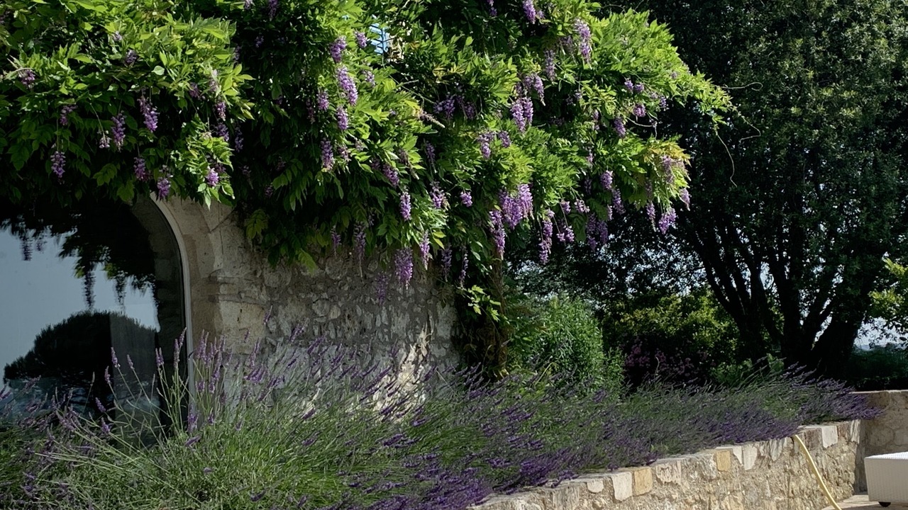 Photo of Outdoor in La Romieu