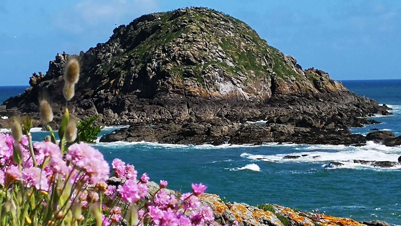 Photo of Others in Cancale