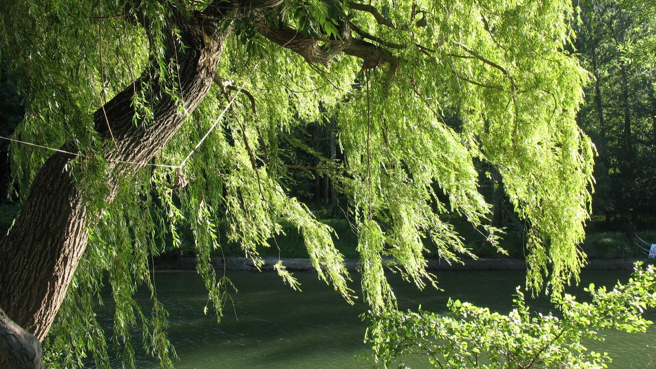 Photo of Others in Sainte-Enimie