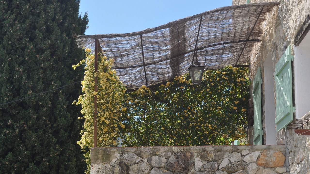 Photo of Outdoor in Bendejun