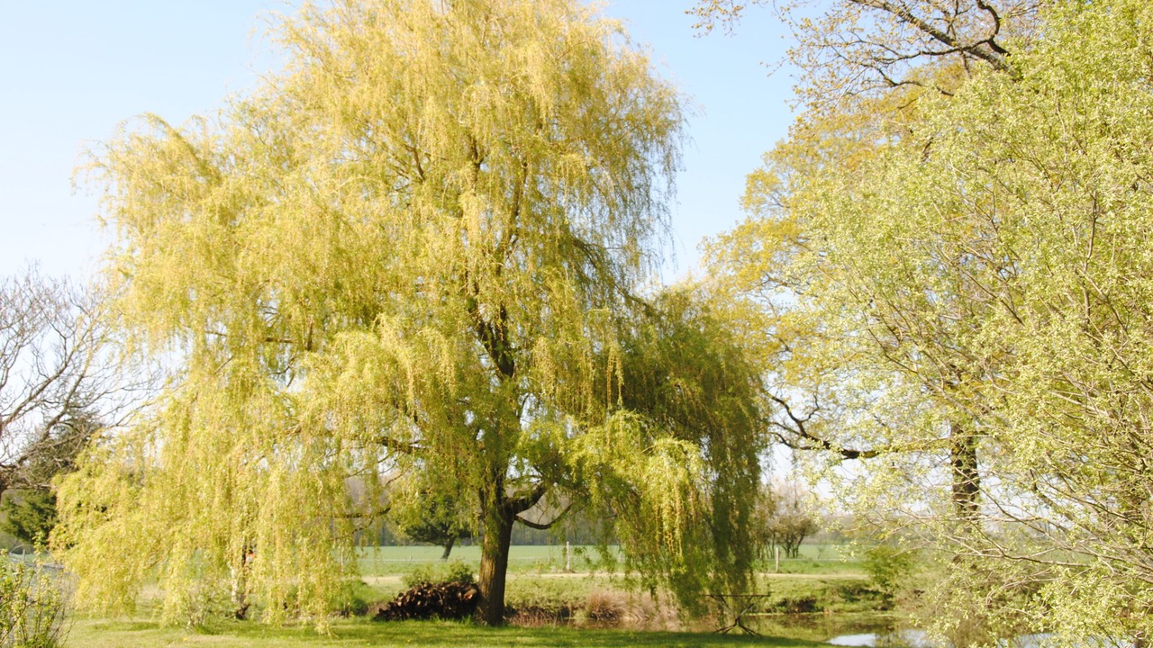 Photo of Others in Chapelle-Royale