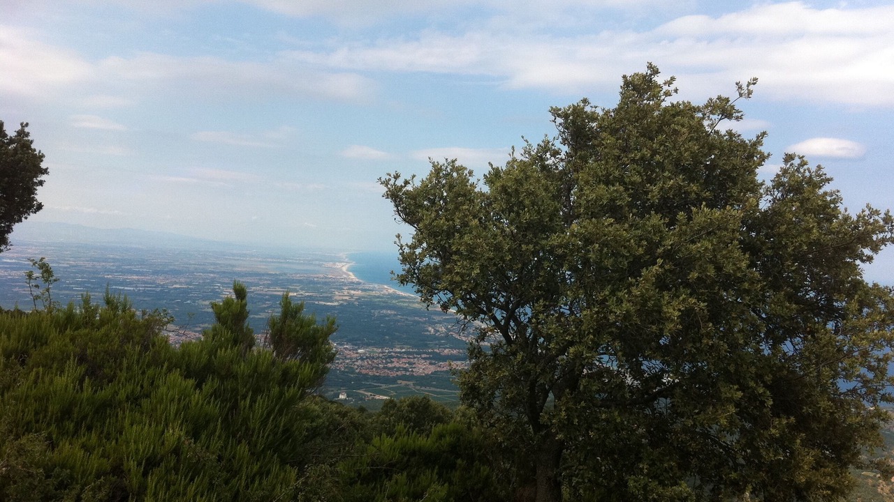 Photo of Outdoor in Port-Vendres