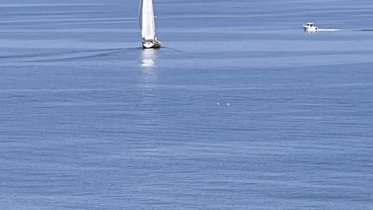 Photo of Others in Port-Vendres
