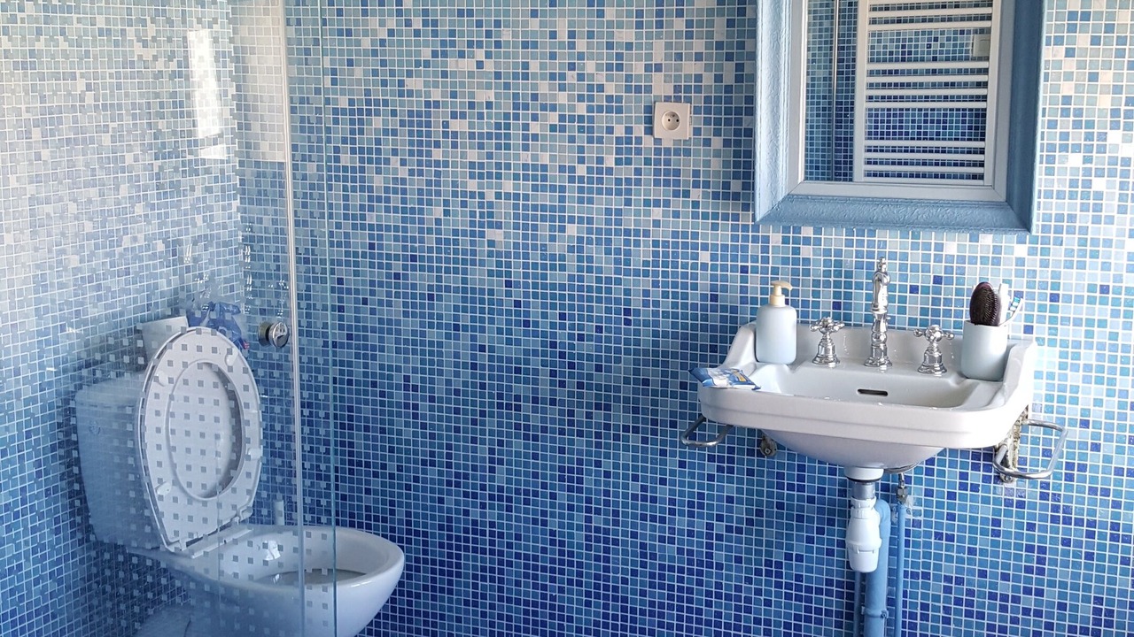 Photo of Bathroom in La Gueriniere