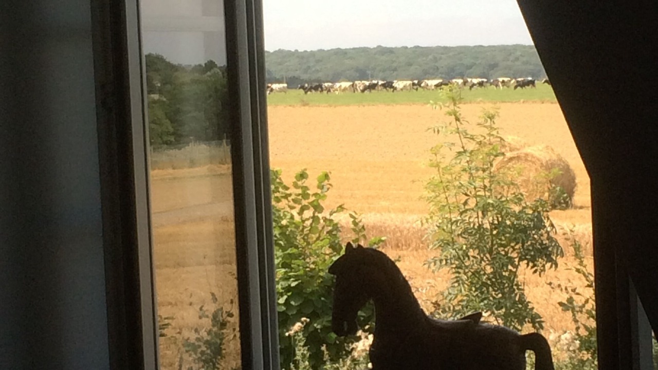 Photo of Others in Montivilliers