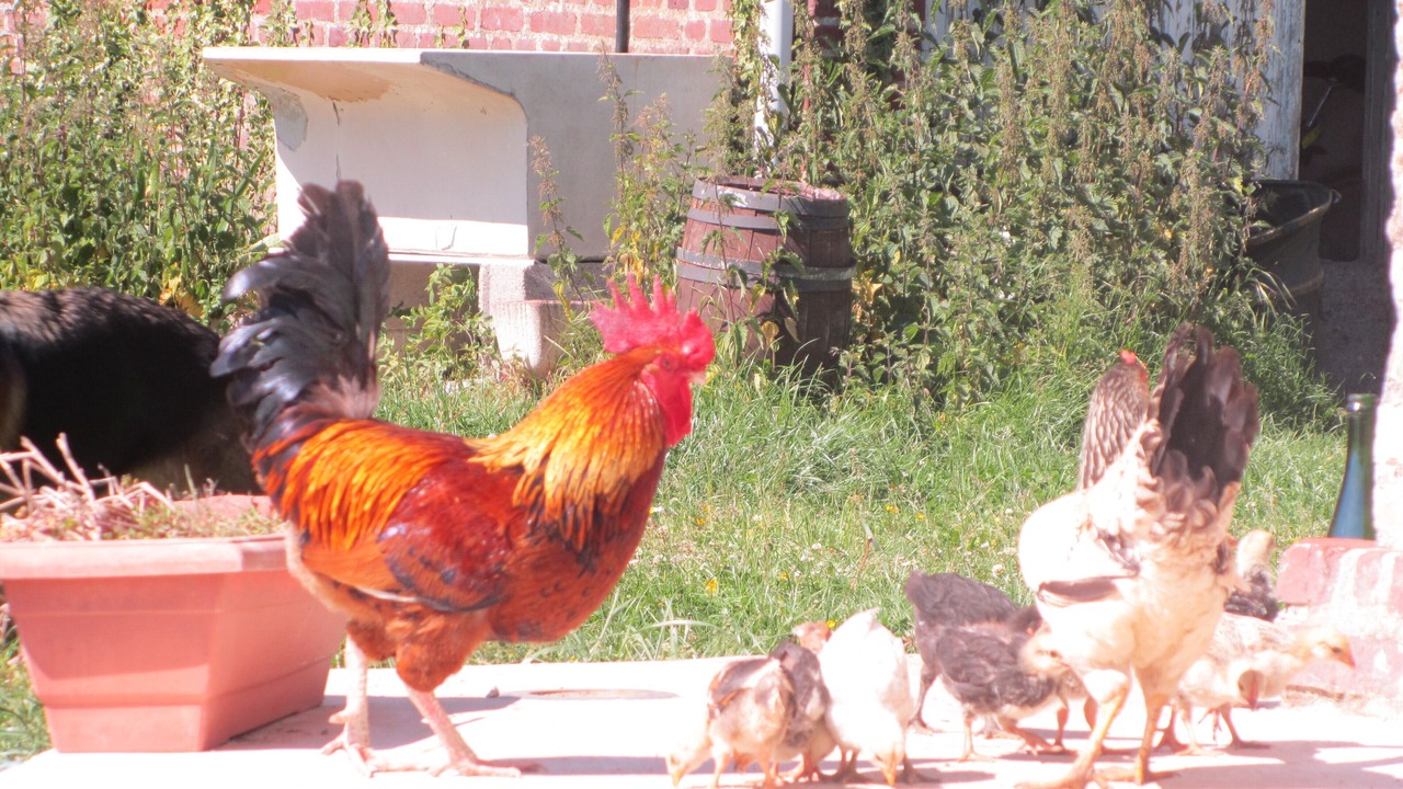 Photo of Outdoor in Montivilliers