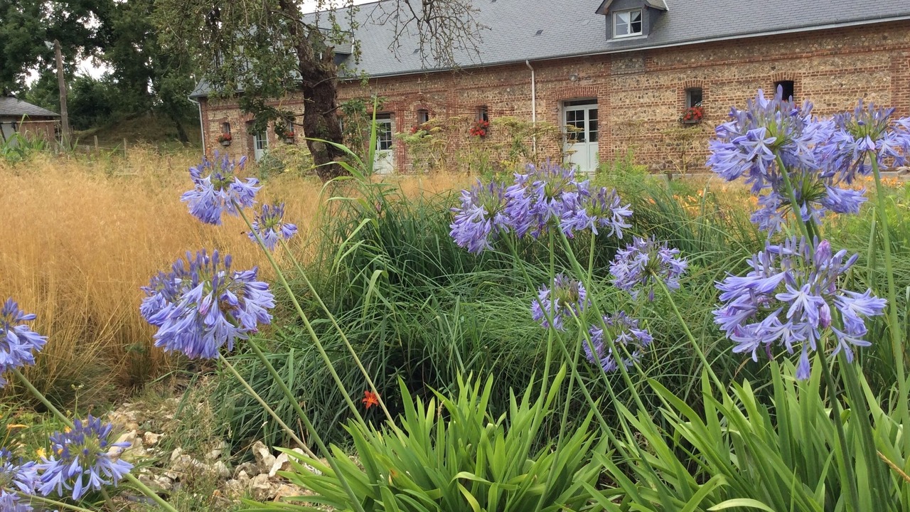 Photo of Outdoor in Montivilliers