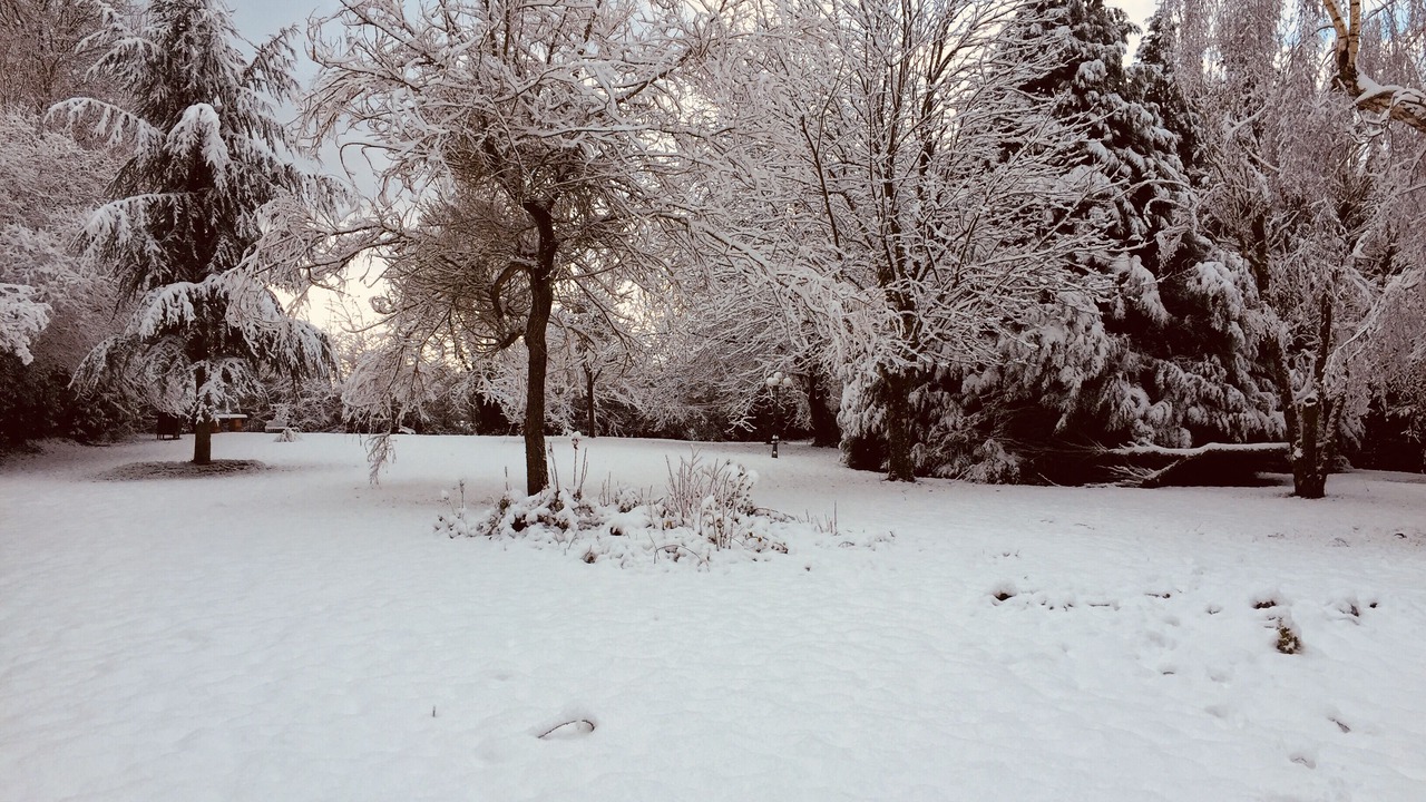Photo of Others in Saint-Nicolas-des-Laitiers