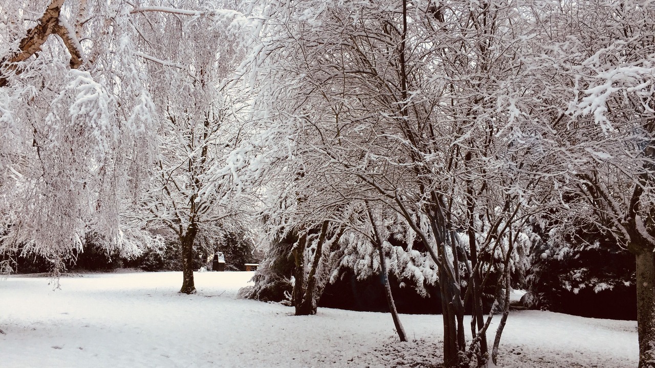Photo of Others in Saint-Nicolas-des-Laitiers