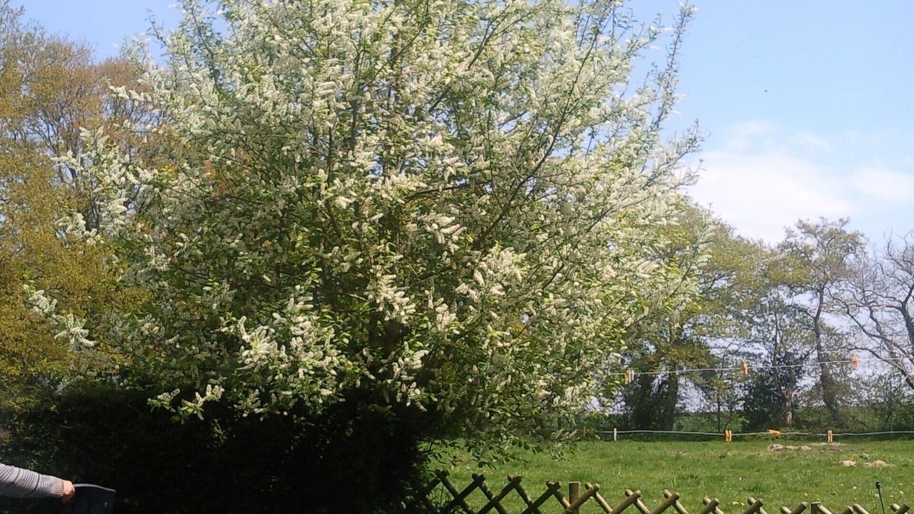 Photo of Outdoor in Malansac