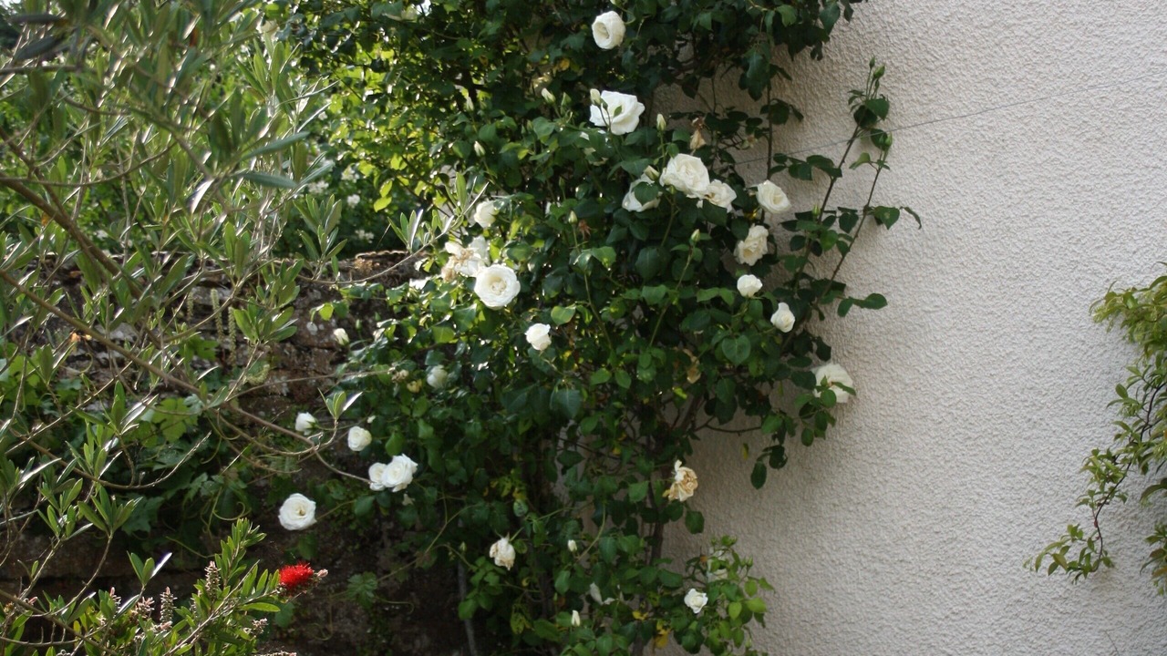 Photo of Outdoor in Paimboeuf